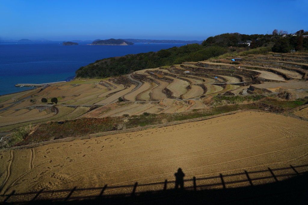 春めく土谷棚田