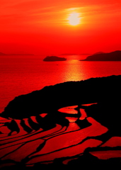 75JA夕暮れの土谷の棚田