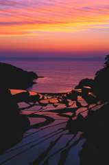 07小焼けの浜野浦の植田