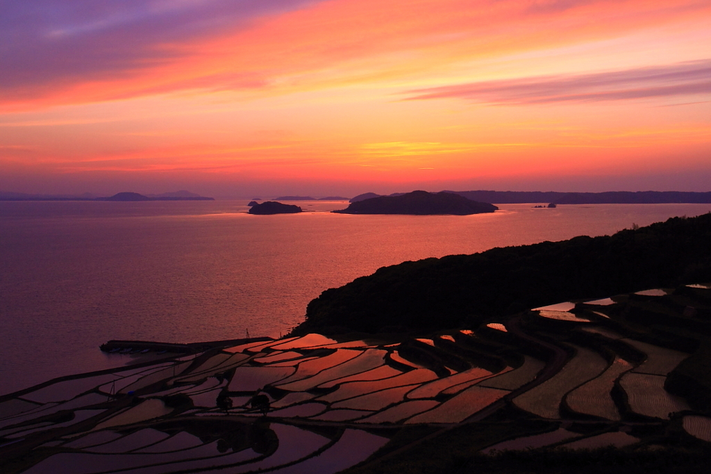 暮れがたき初夏の夕景