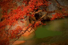 赤くて有り難うございます。