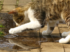 大人になっても～