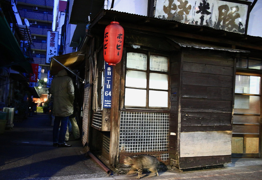 20160206174612_IMG_8973