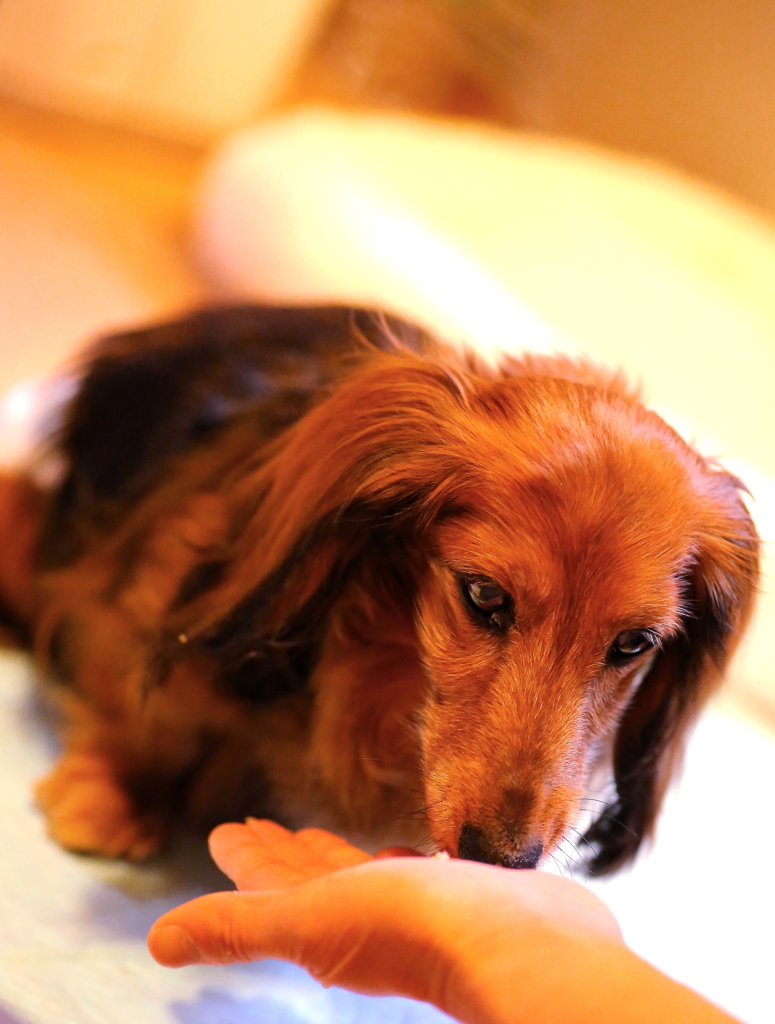 できる事はすべて