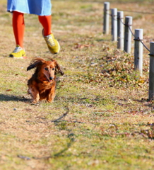目指せ！！18歳