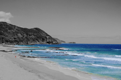 小赤1匹 vs 大海原