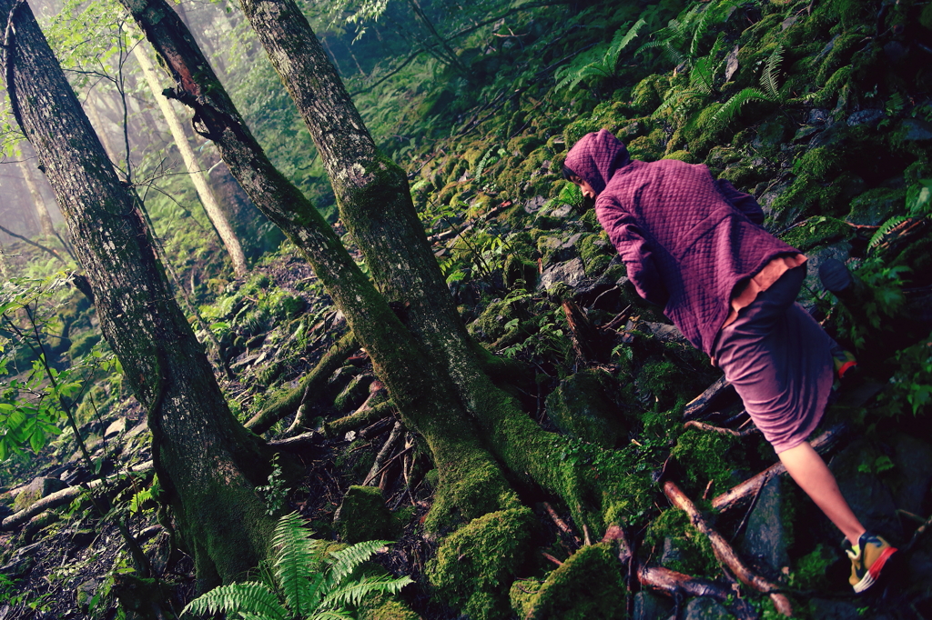 苔そうでコケナイ