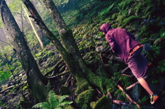 苔そうでコケナイ