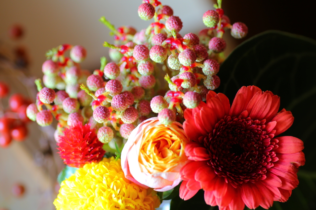 ここからの～！