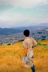 稲穂の実るとき