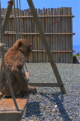 ブランブランパクパクあ~サイコー