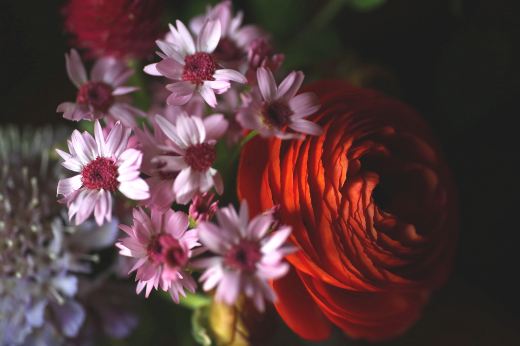 アッパー＆ダウナー