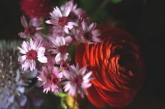 アッパー＆ダウナー