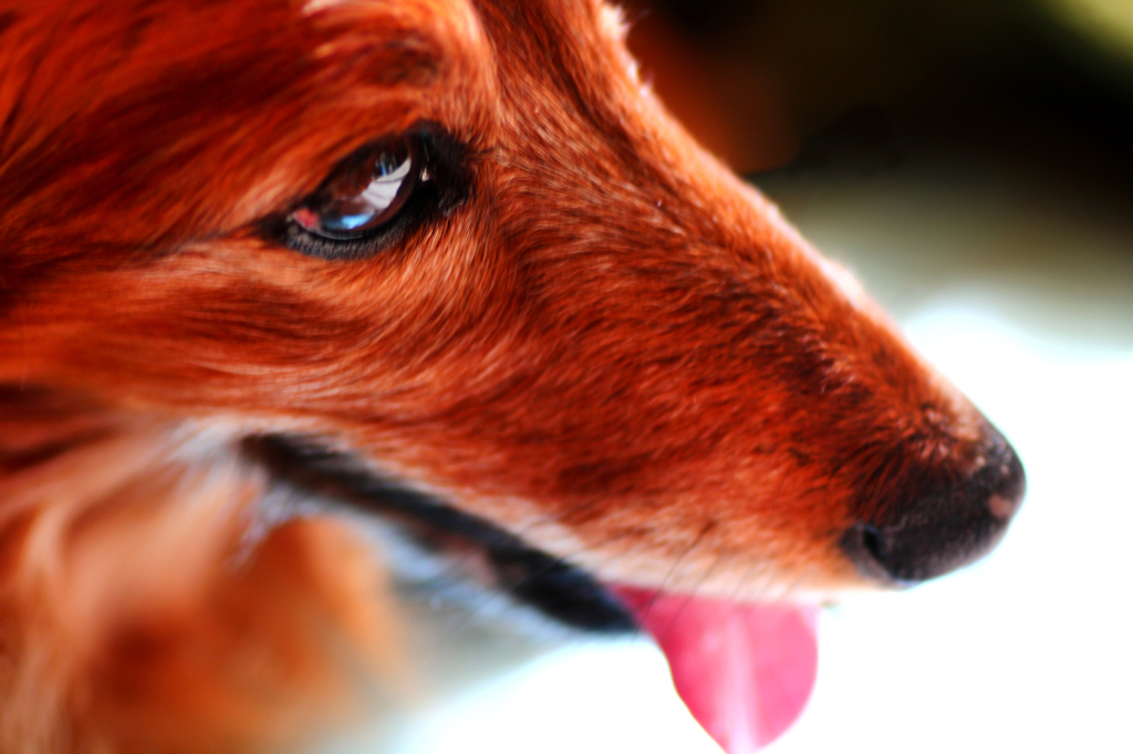 トンネル抜けて