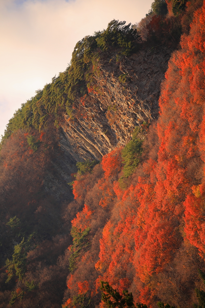 ノロイの住む山