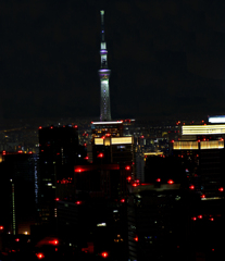 今日は、フリーザ色なスカイツリーさん