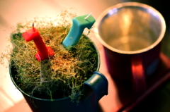 繊細なこの生き物