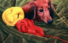 EOS M !& EF28-300L IS USM!?クレイジーコンビ！！