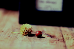 フォトフレームと木の実