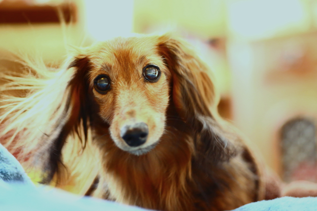 痩せた分動けるさ！