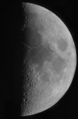 シェパードムーン