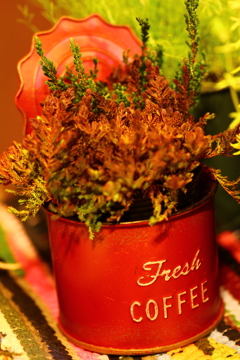 フレッシュコーヒー