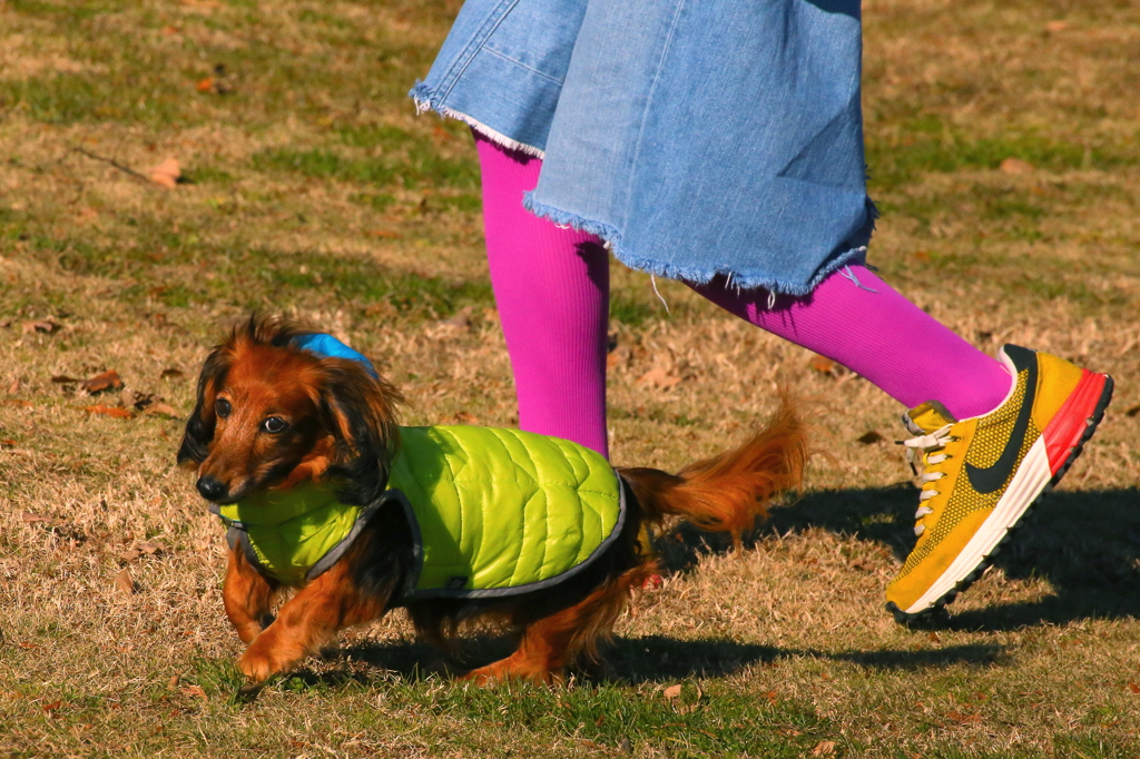 今日もパパラッチか..