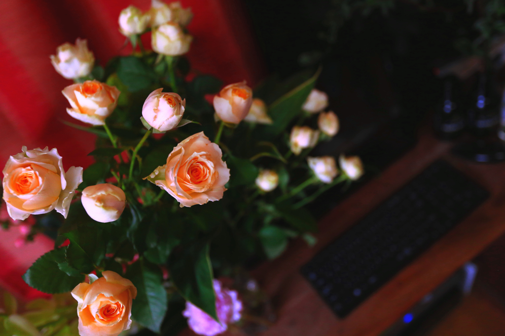 手向けた花が力になる日