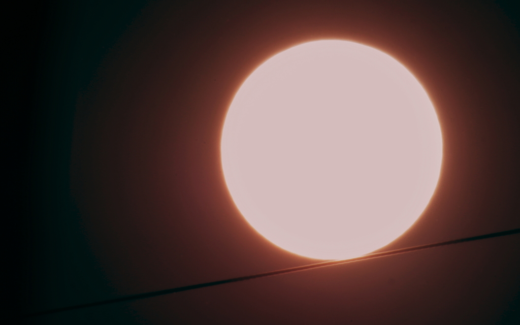 サンゴーズダウン