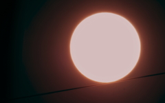 サンゴーズダウン