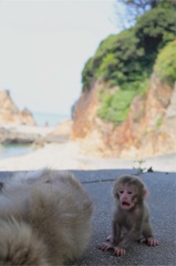 母さんカメラだってばぁ‼︎