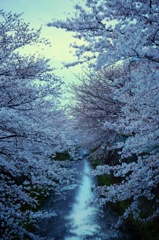 スキマ川
