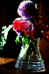 しおれても　尚