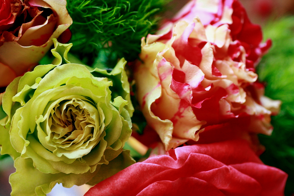 aoyama F.MでＧＥＴ！