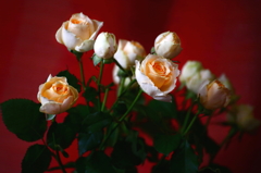 退院おめでとう