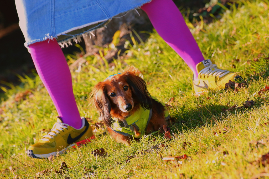 ガニ子とテンコ