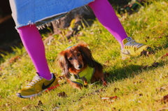 ガニ子とテンコ