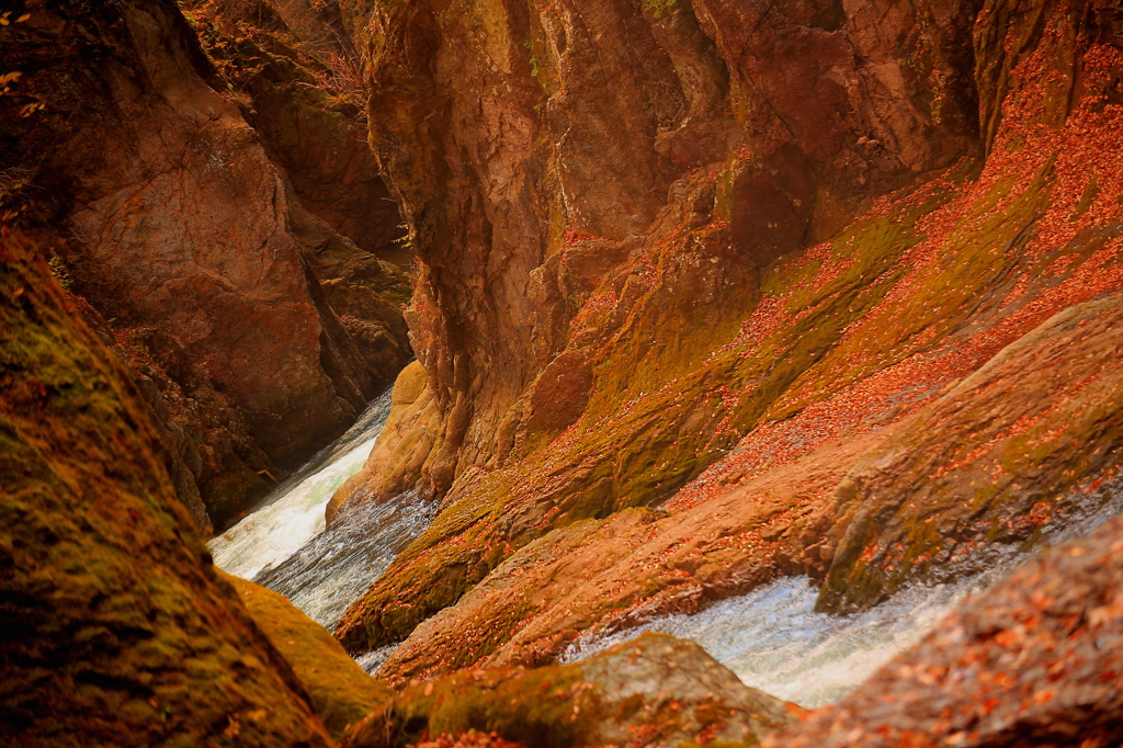 渓谷の底にて