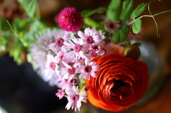 10°ｃでも生きる花達！