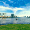 青春青雲