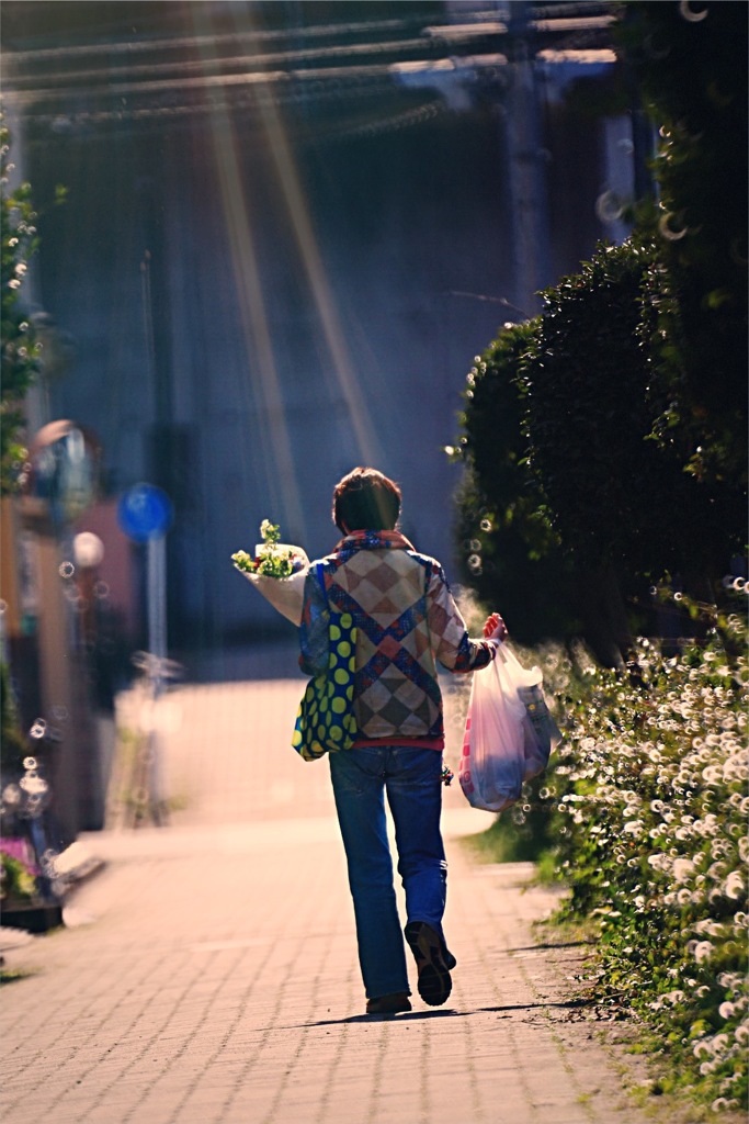 帰って手向ける花と発泡酒に降り注ぐ太光
