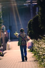 帰って手向ける花と発泡酒に降り注ぐ太光