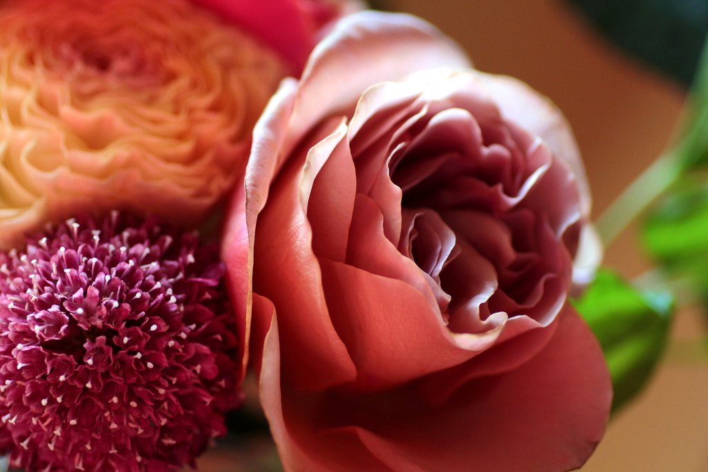 ＡＰＳＣの奇跡（だからカメラはオモシロい！）