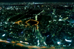 正月　夜景　東京