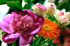 春のいつかの花達