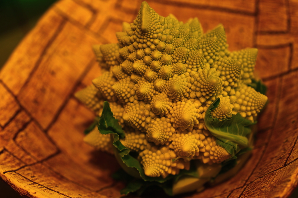 コイツ一晩撮っても飽きないわぁ。。