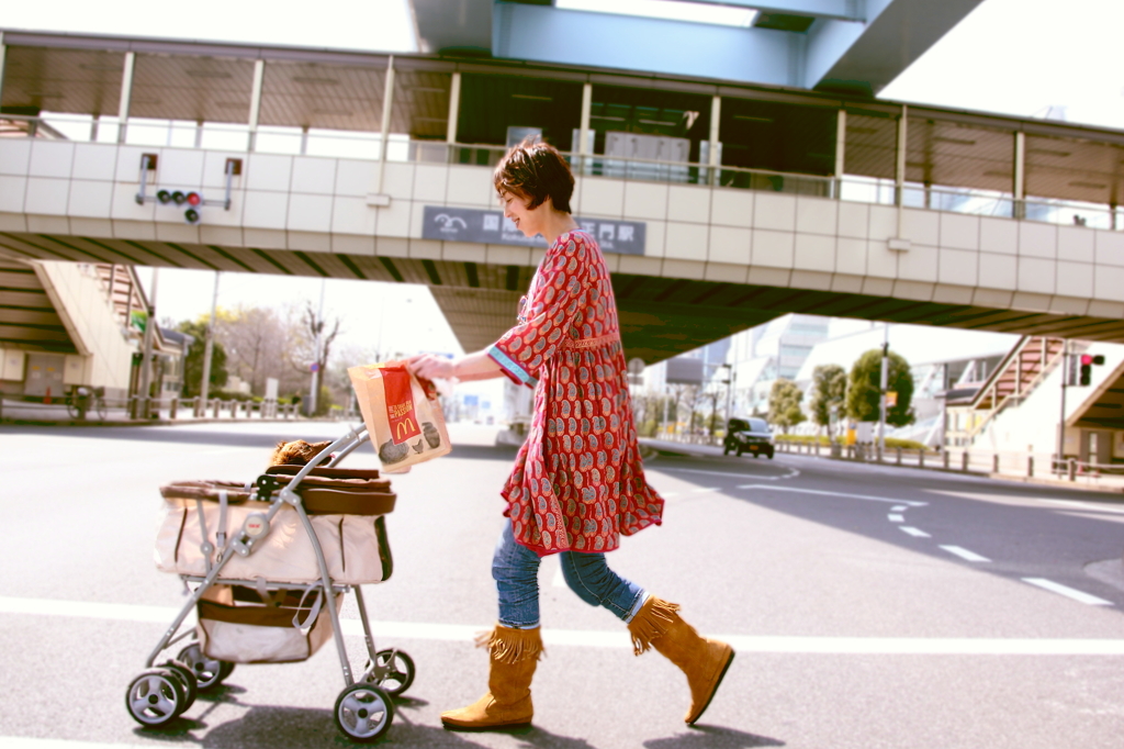 マックフライドポテト　L