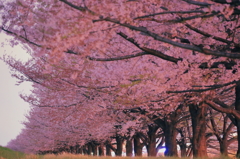 いつの日か、また逢いましょう