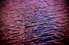 美しすぎる夕日のただ映す海