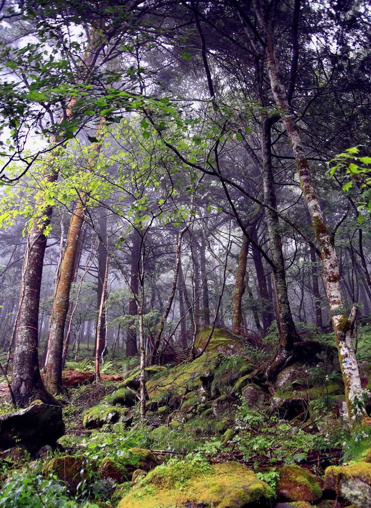 1800m　 感じたままに誇張しました。